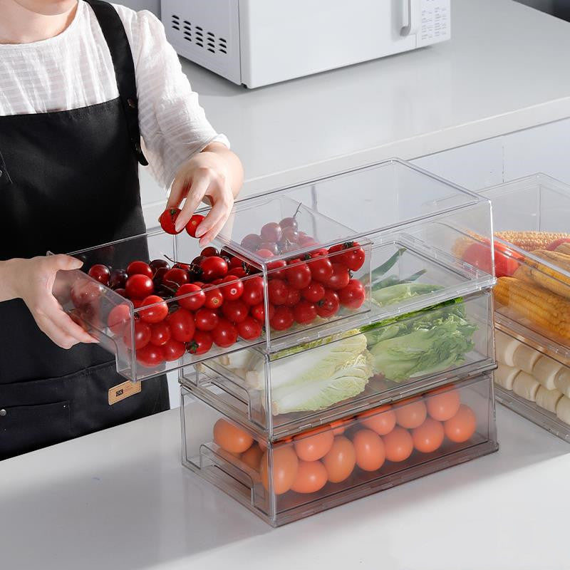 Refrigerator Freezer Storage Box with Egg Holder