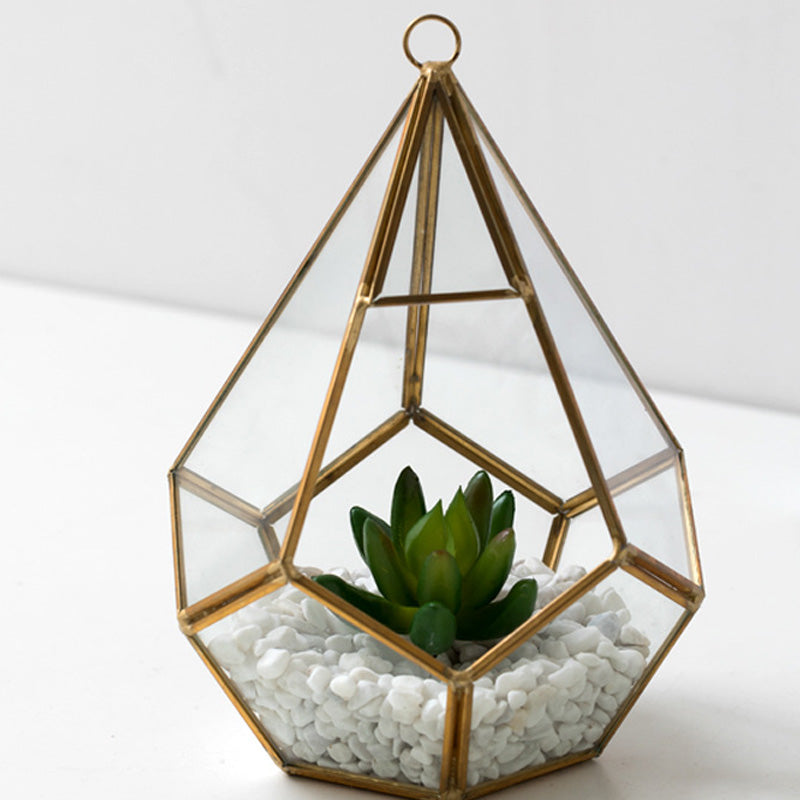 Home Succulent Bonsai Decoration