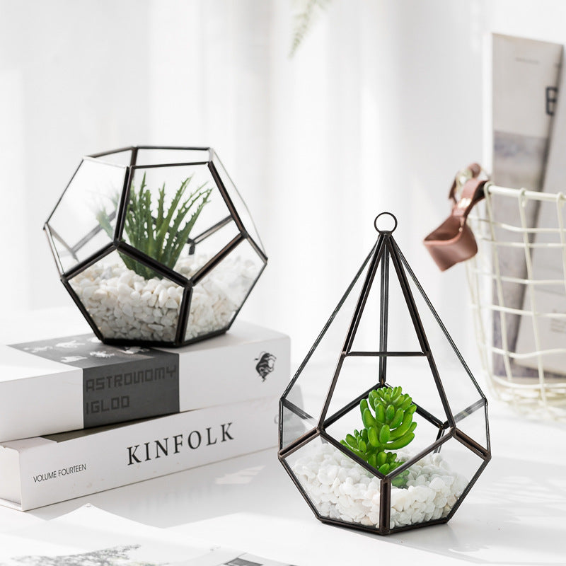 Home Succulent Bonsai Decoration