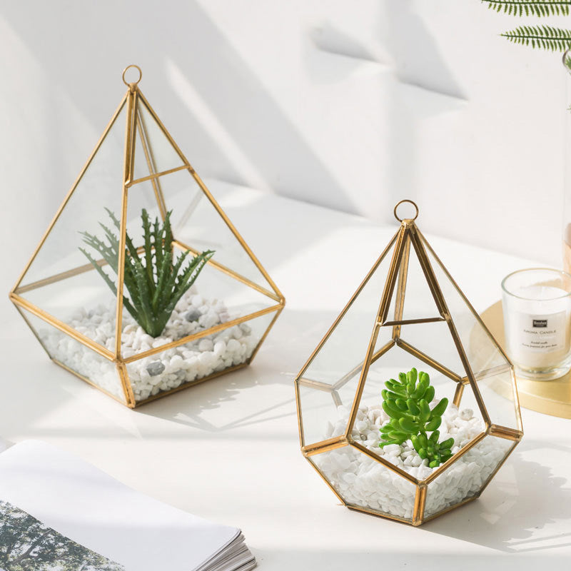 Home Succulent Bonsai Decoration