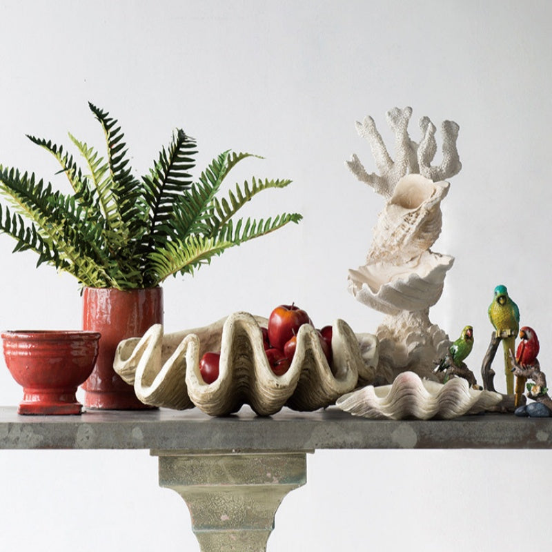 Home Desktop Decor Ornament Conch Shell